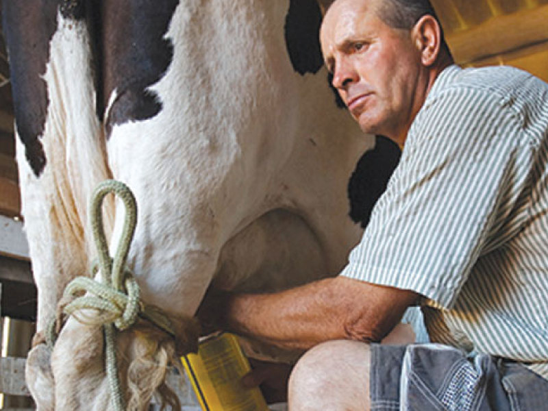 High Performance Dairy Flow® Milk Hose Tubing