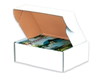 deluxe literature mailers boxes white