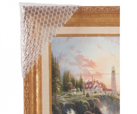 Frame Protector Bubble Frame Protector Bubble