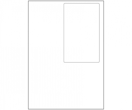 Integrated Laser Labels