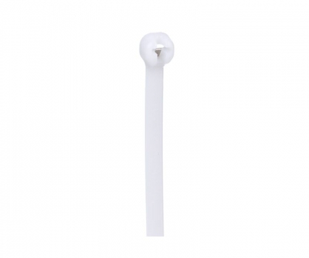 bt1m-100-nt