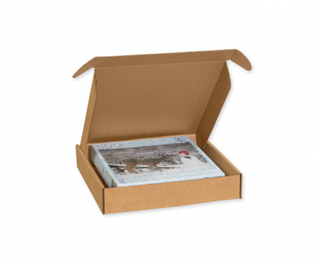 Pack Kontrol Deluxe Literature Mailer Kraft