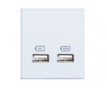 White twin usb charger rubbery in surface power and data grommet , ta-3377-50wh White twin usb charger rubbery in surface power and data grommet , ta-3377-50wh