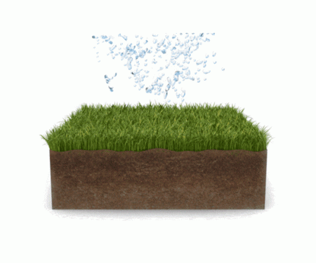 truegrid_root 8 truegrid_root 8