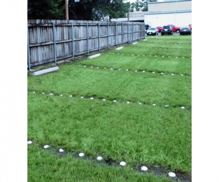 truegrid_root 9 truegrid_root 9