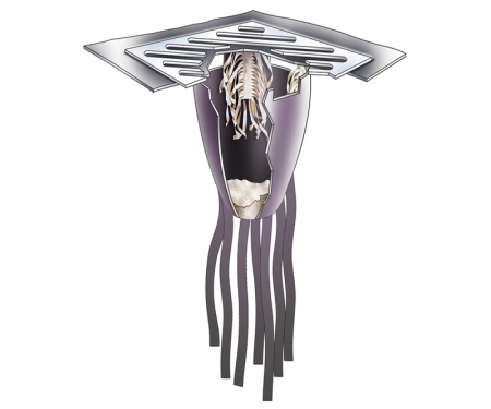 ut 9376 9377 gallery1 drainguard ultimate illustration ut 9376 9377 gallery1 drainguard ultimate illustration