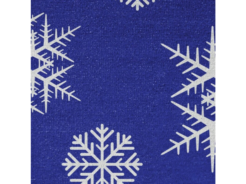 Notrax Winter Entry Door Mats With Snowflake Design 195SF Series