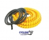 cyclone 13