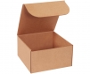 Lit Mail Kraft Reg