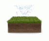 truegrid_root 8