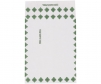 Tyvek First Class Mailer